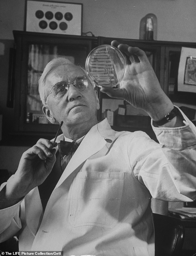 Alexander Fleming: Penemuan Penicillin yang Menyelamatkan Jutaan Nyawa