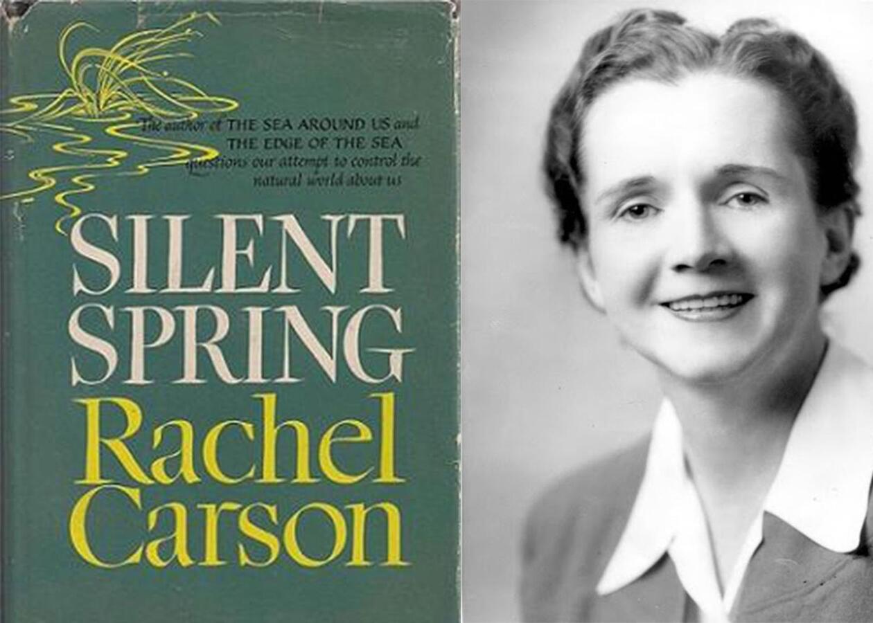 Rachel Carson: Ilmuwan Lingkungan yang Mengguncang Dunia dengan 'Silent Spring'