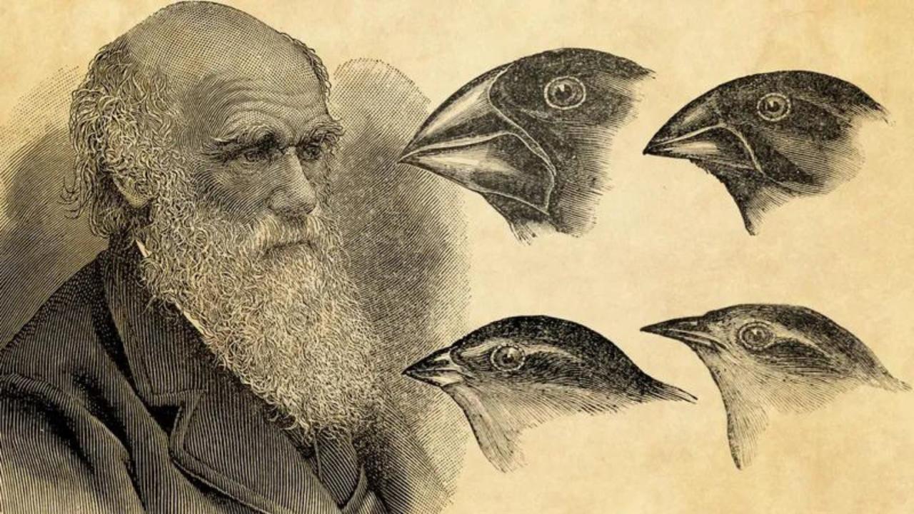 Charles Darwin: Teori Evolusi yang Mengubah Cara Pandang Dunia